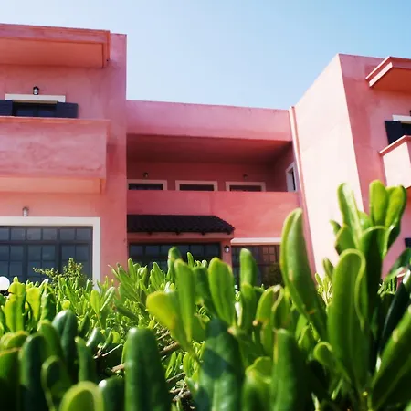 Sofia's House 